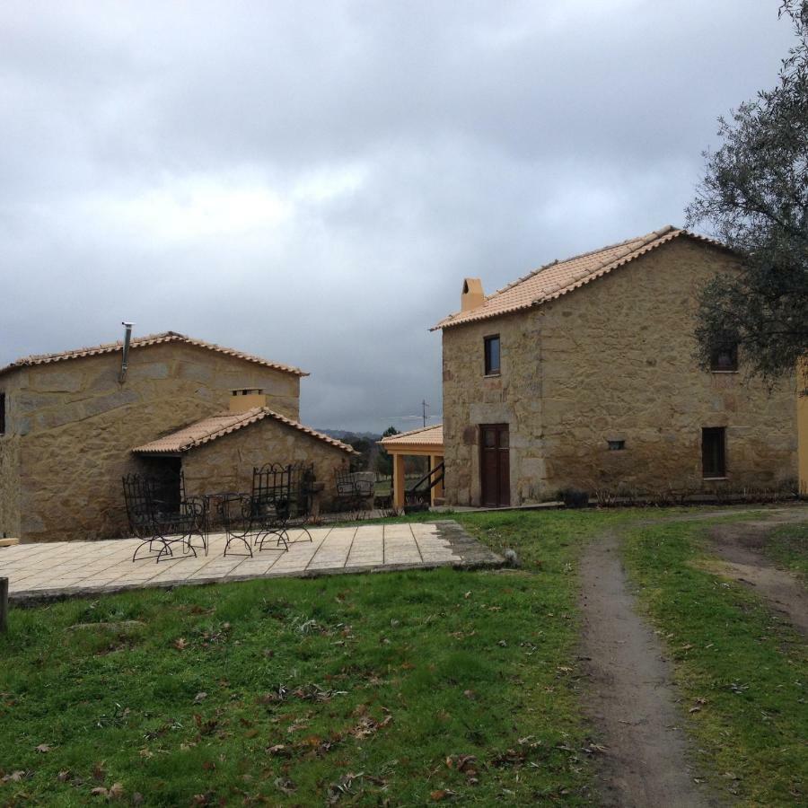 Gasthaus Quinta Damigo Seia Exterior foto